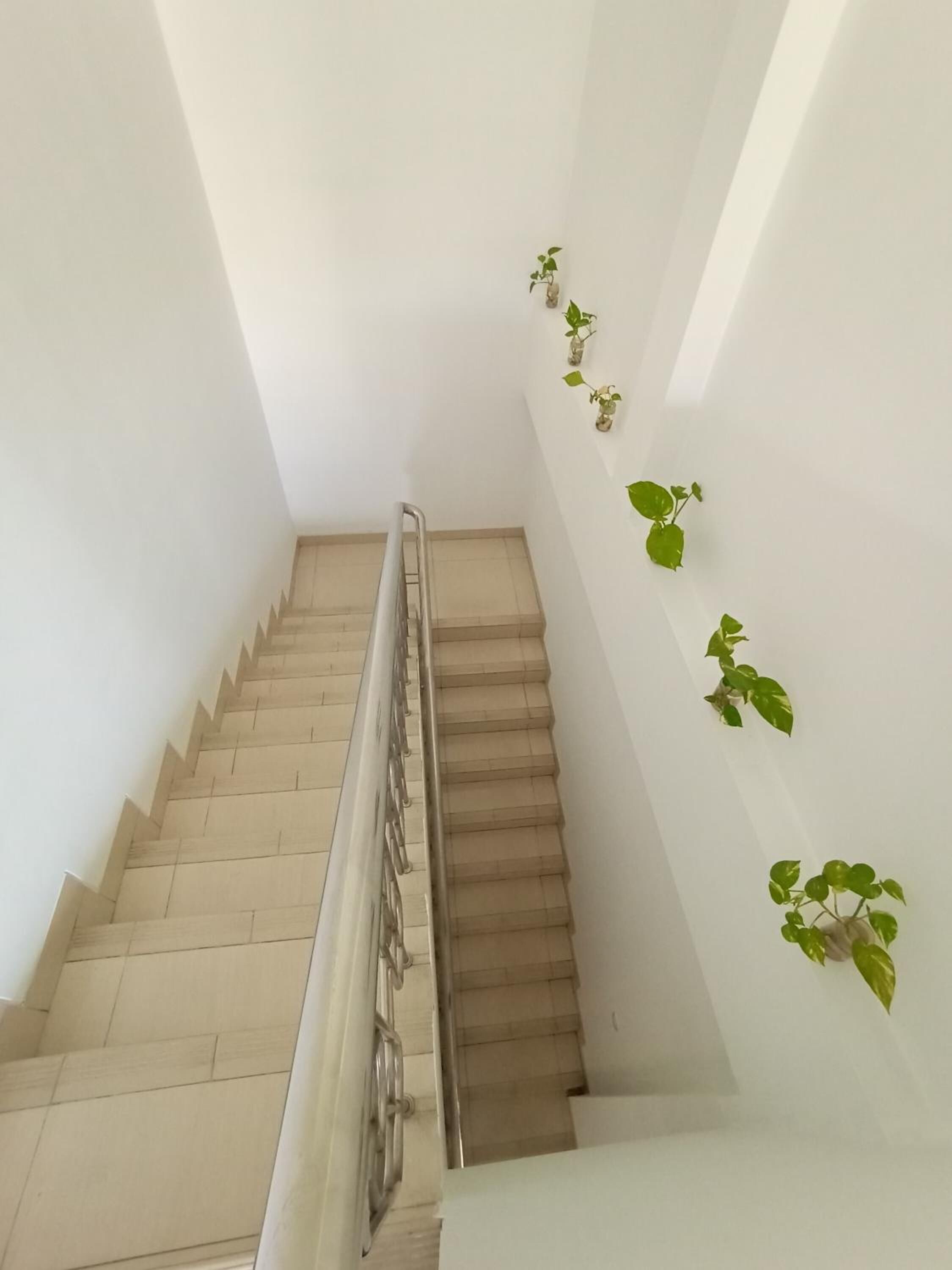 Foto - Votel Viure Hotel Jogjakarta