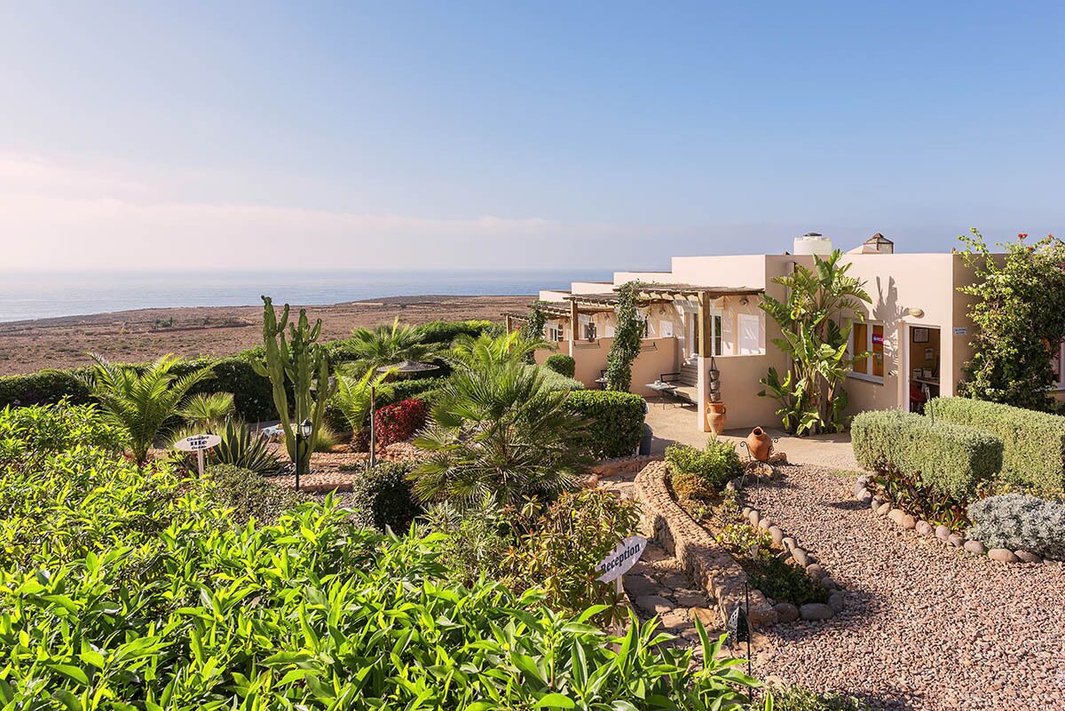 Egyptian cotton sheets, premium bedding, Select Comfort beds