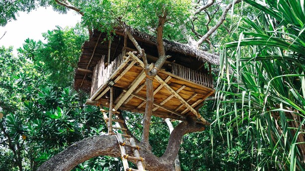 A treehouse with a thatched roof and wooden platform, surrounded by lush greenery. - Five (Morakatiyara)