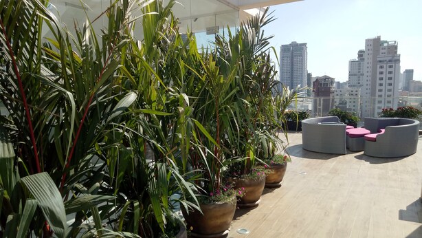 Teres/patio