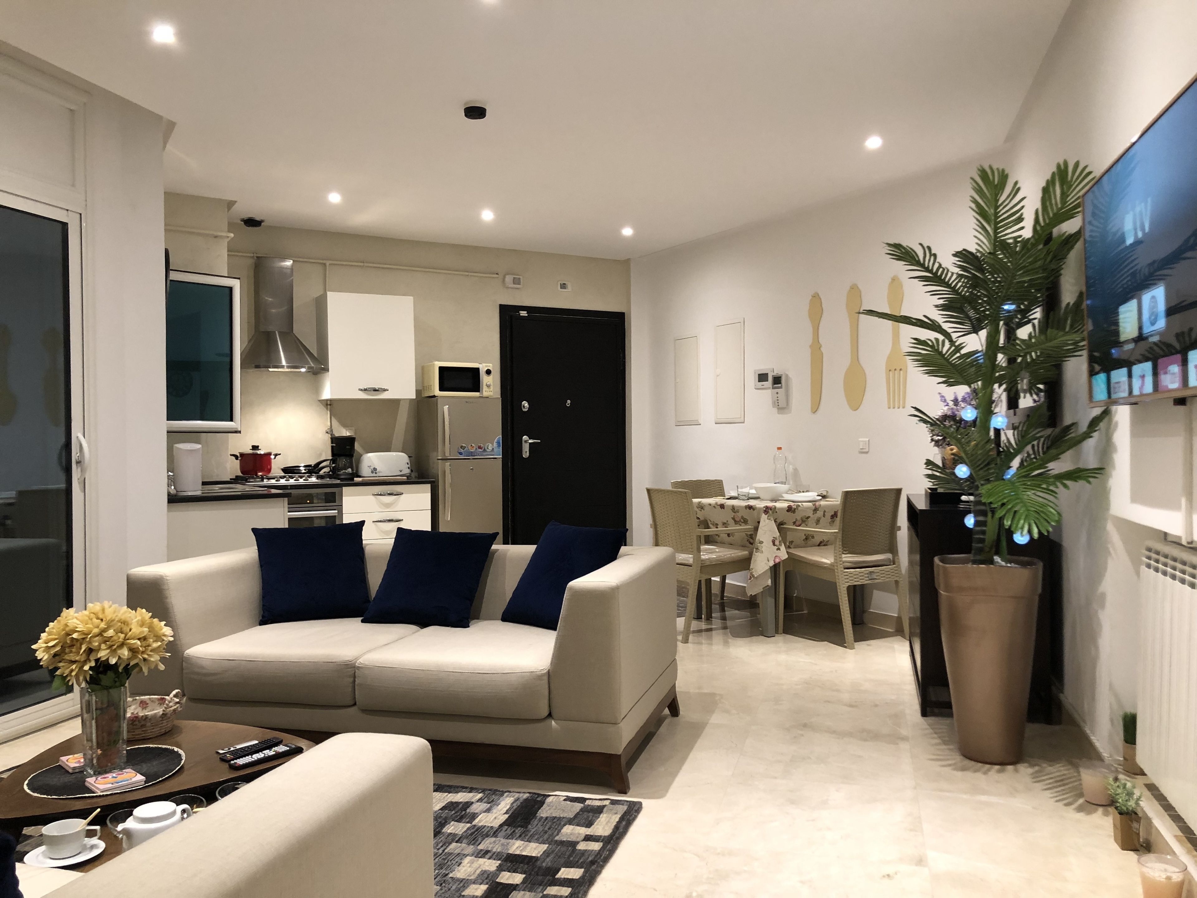 apartment | living room | 50-inch plasma tv with digital channels, tv, netflix