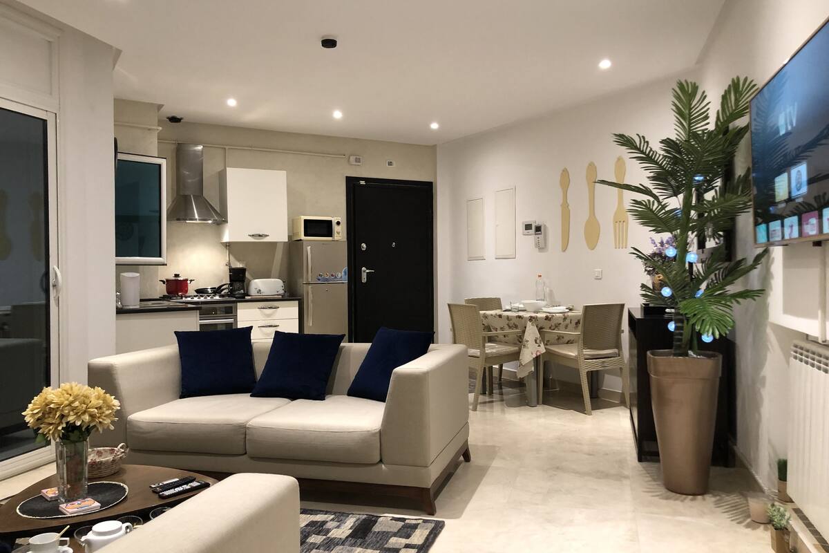 apartment | living room | 50-inch plasma tv with digital channels, tv, netflix