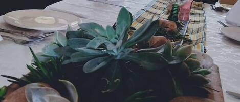 A dining table with a centerpiece of succulents and potatoes, a white napkin, and a glass of water.