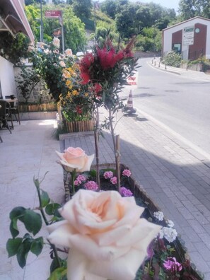 Property grounds - New Beylerbeyi Hotel (Istanbul)