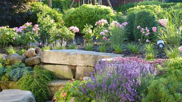 A garden with various plants and a stone bridge. - Hotel Landgasthof Evering (Emsbueren)