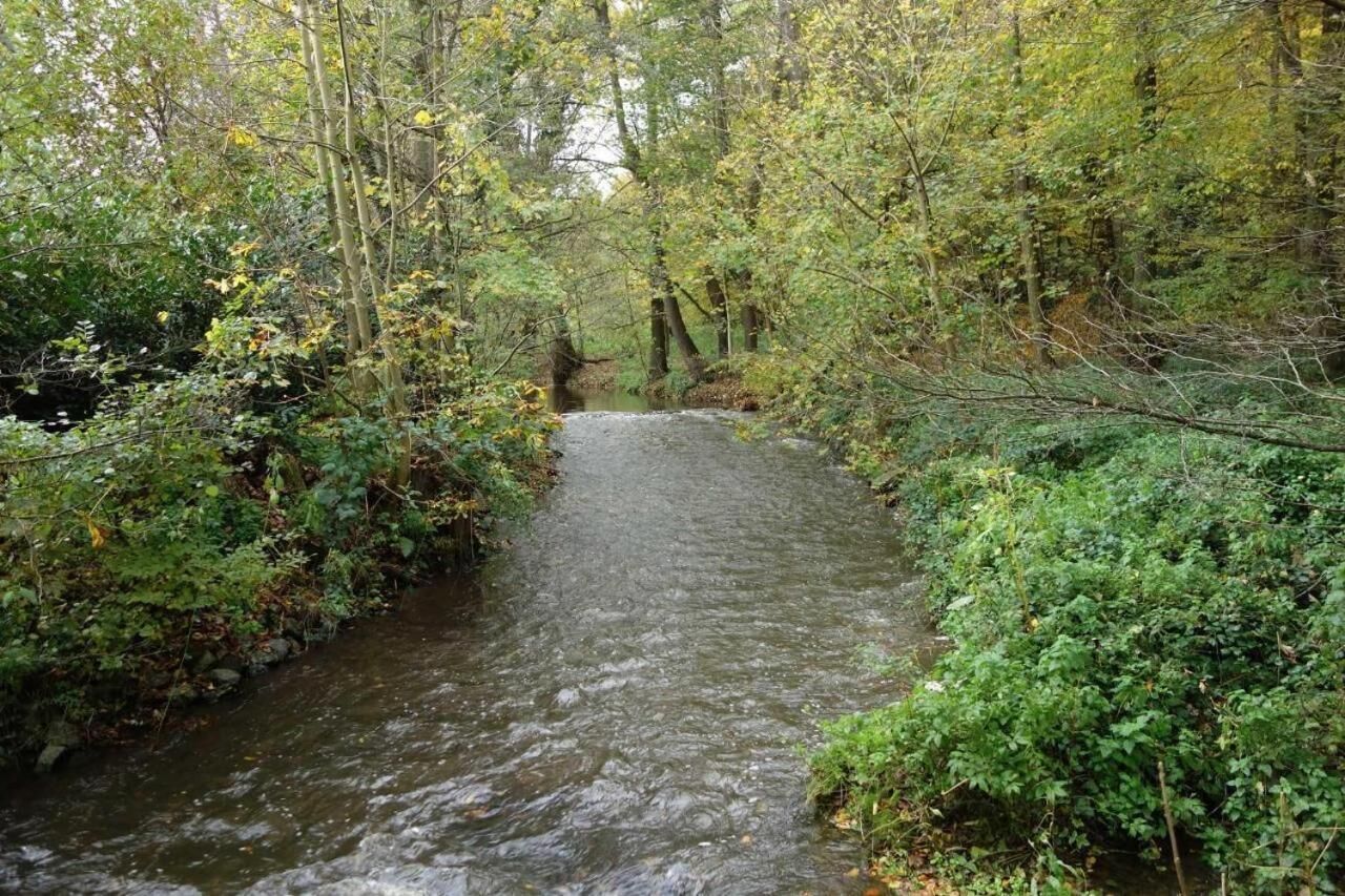 Photo - Landhotel Burkartsmühle