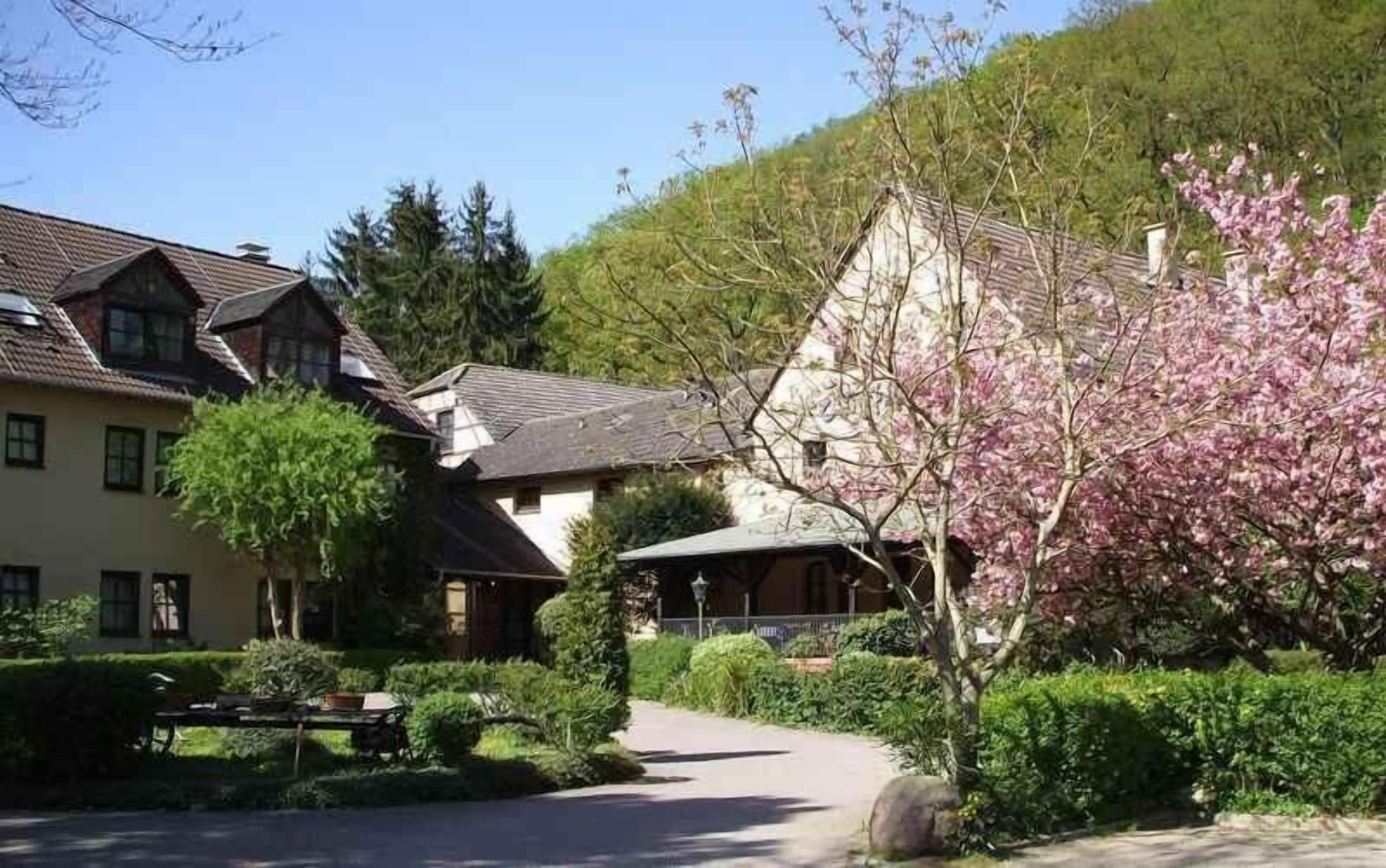 Photo - Landhotel Burkartsmühle