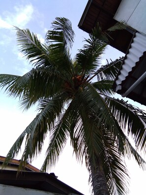 Vista desde la habitación