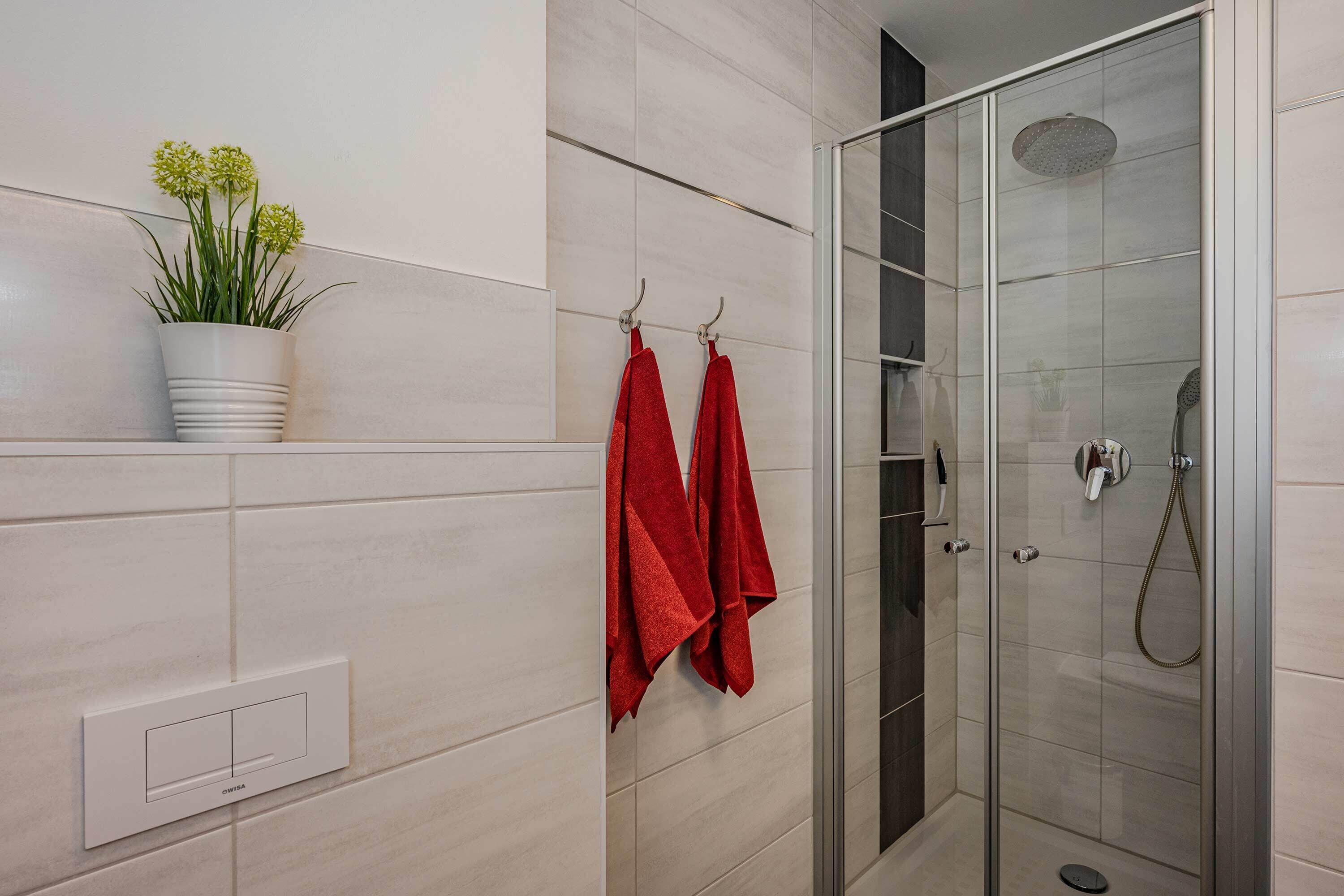 Shower, hair dryer