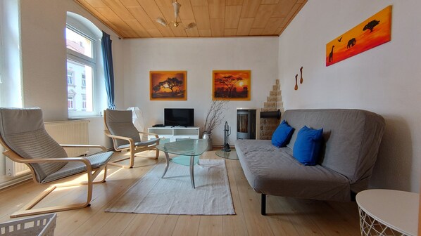 Smart TV, fireplace, DVD player, books