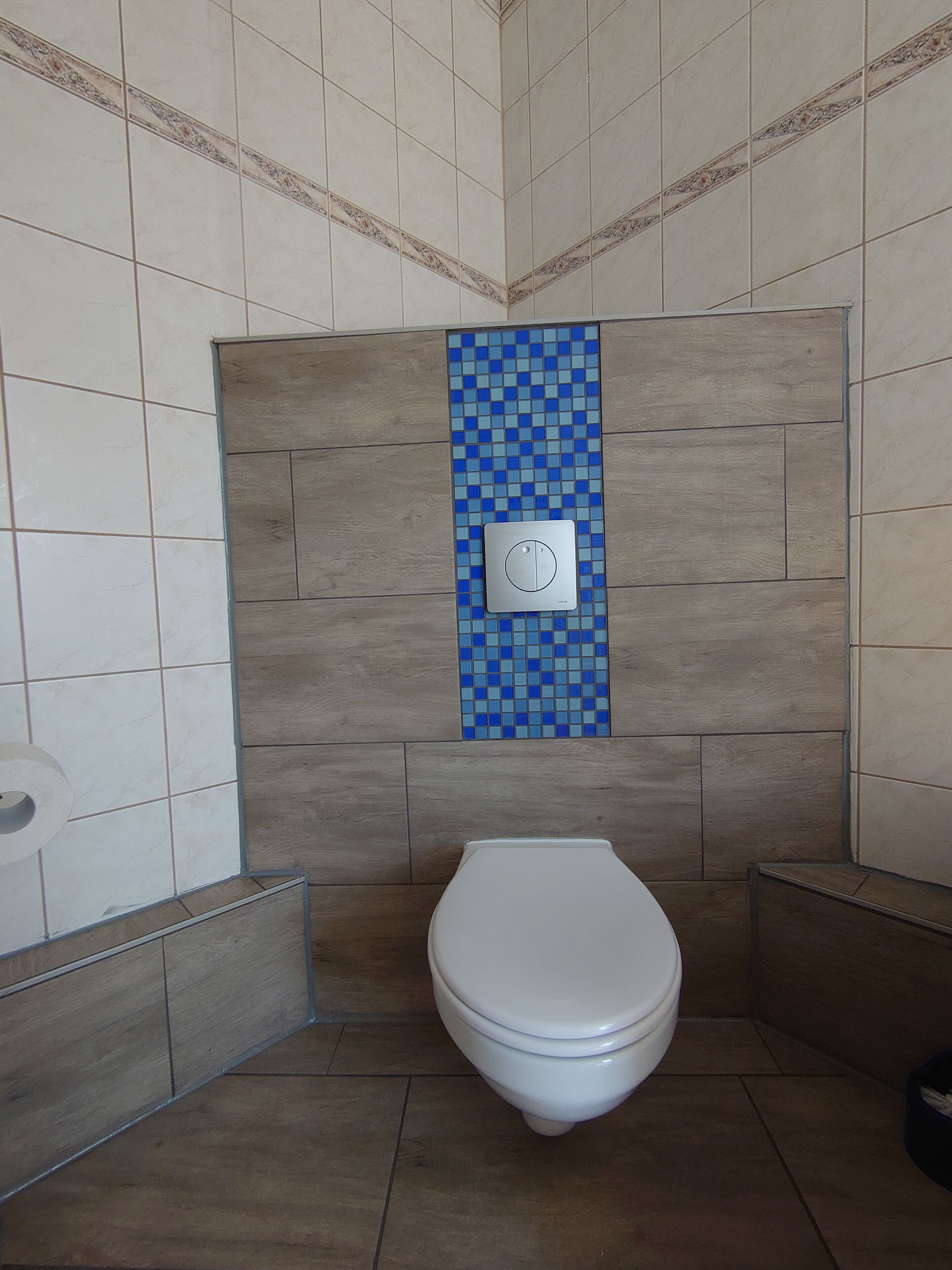 A corner bathroom with a toilet, a blue mosaic tile accent, and a flush handle.