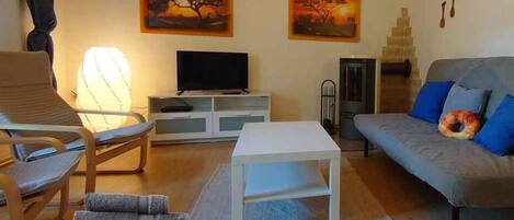 Smart TV, fireplace, DVD player, books