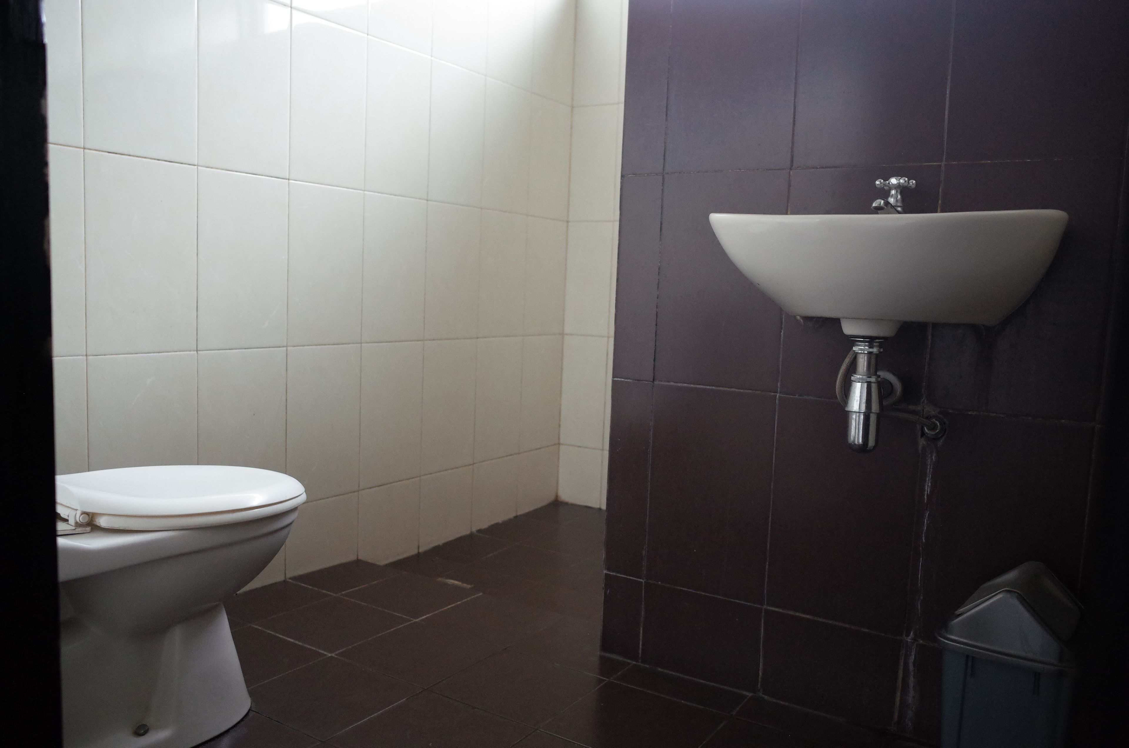 Un baño con inodoro y lavamanos.