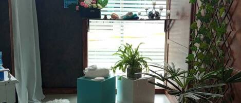 A bathroom with a shower, a sink, a mirror, and a window with blinds. There are plants and toiletries on the shelves.