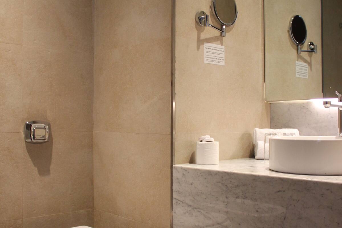 deluxe double or twin room | bathroom | shower, rainfall showerhead, hair dryer, bidet