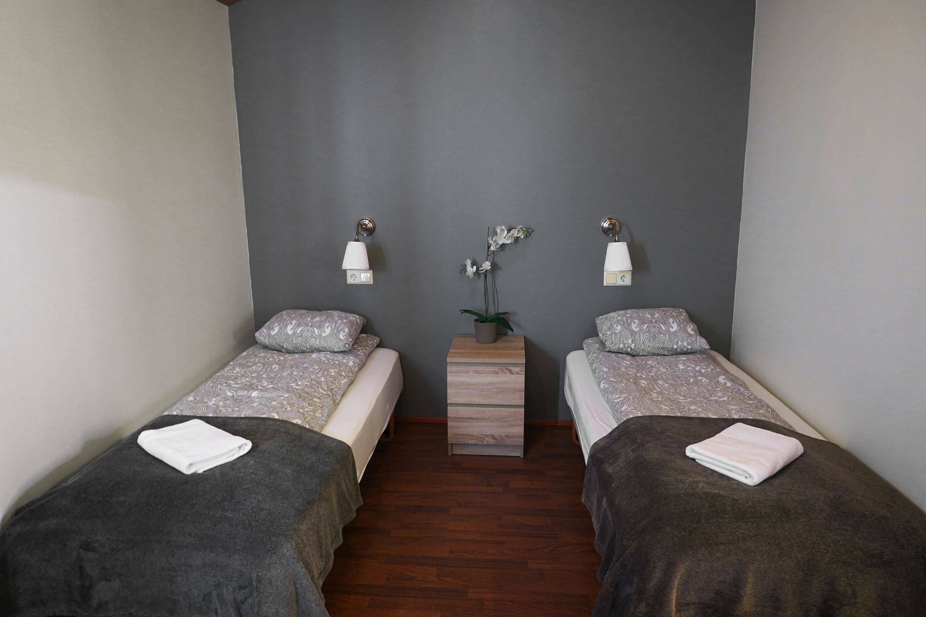 A twin room with two single beds, a small wooden nightstand, two wall-mounted lamps, and a potted plant.