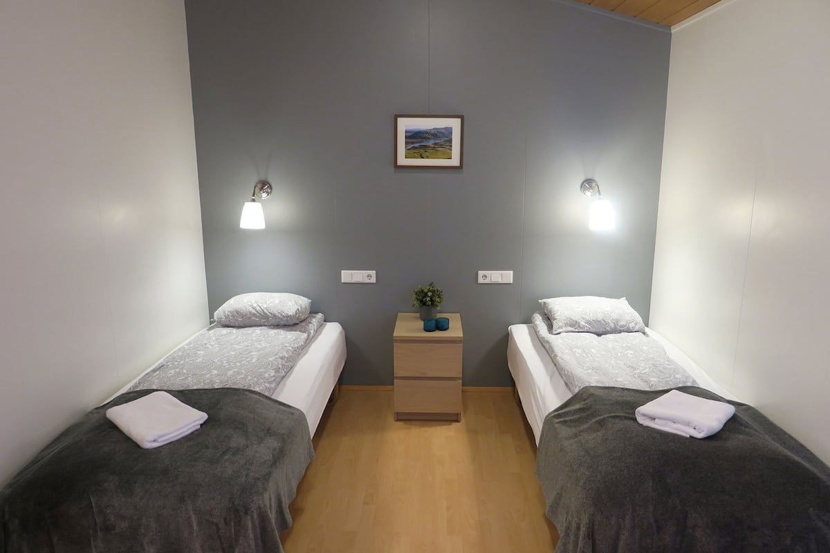 Une chambre avec deux lits simples, une petite table de chevet agrémentée d’une plante et un tableau encadré au mur.