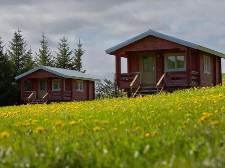 Zwei Holzhütten mit Balkonen, umgeben von einem Feld gelber Blumen und hohen Bäumen.