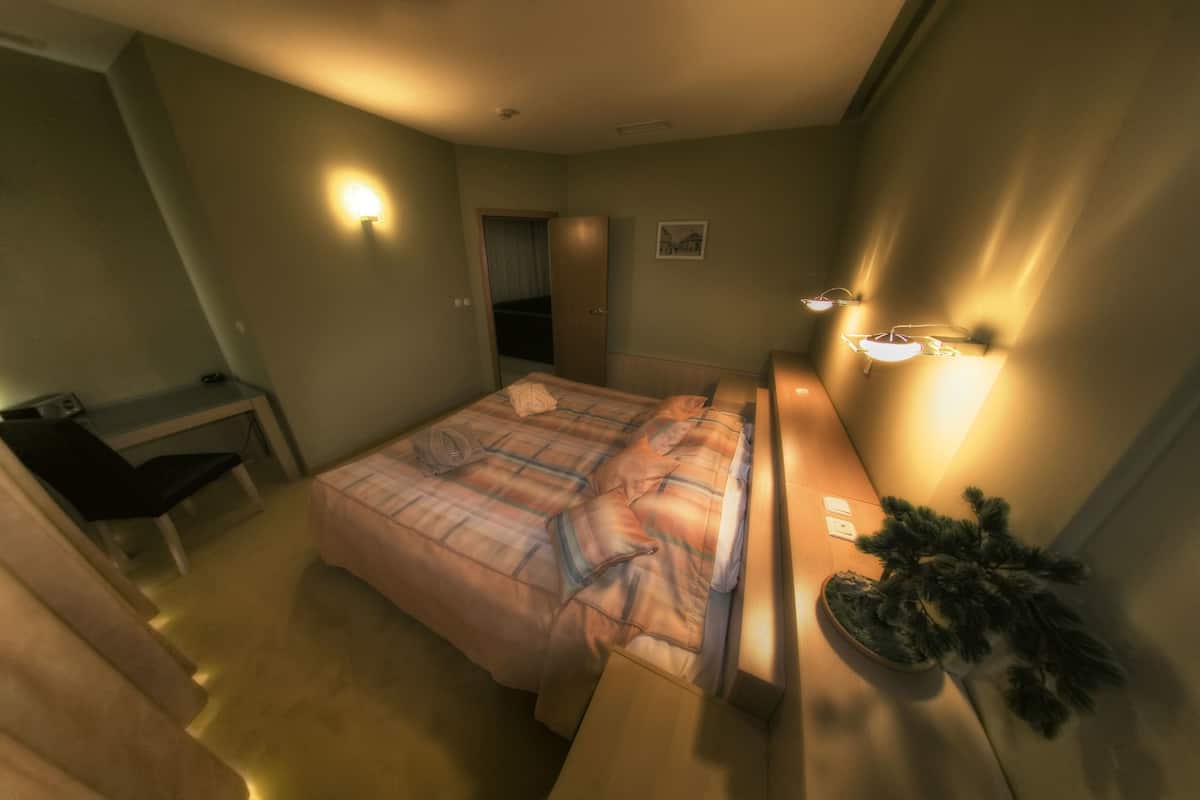 Deluxe-Apartment | Minibar, Zimmersafe, Schreibtisch, schallisolierte Zimmer