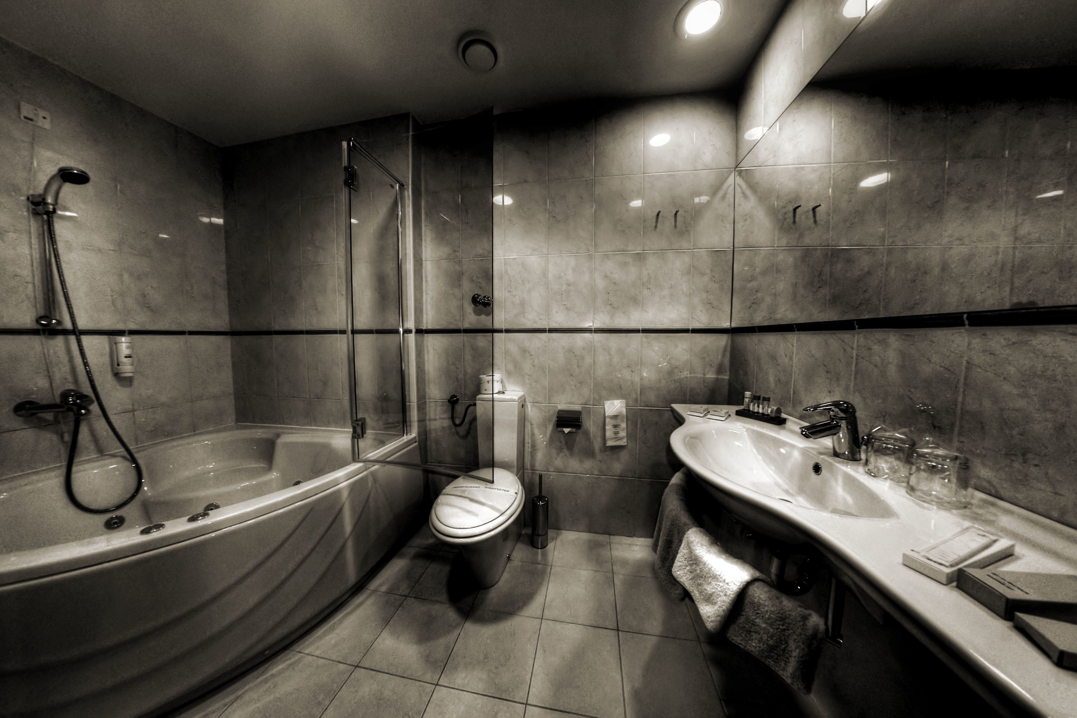 A modern bathroom with a freestanding bathtub, a toilet, and a double sink vanity.