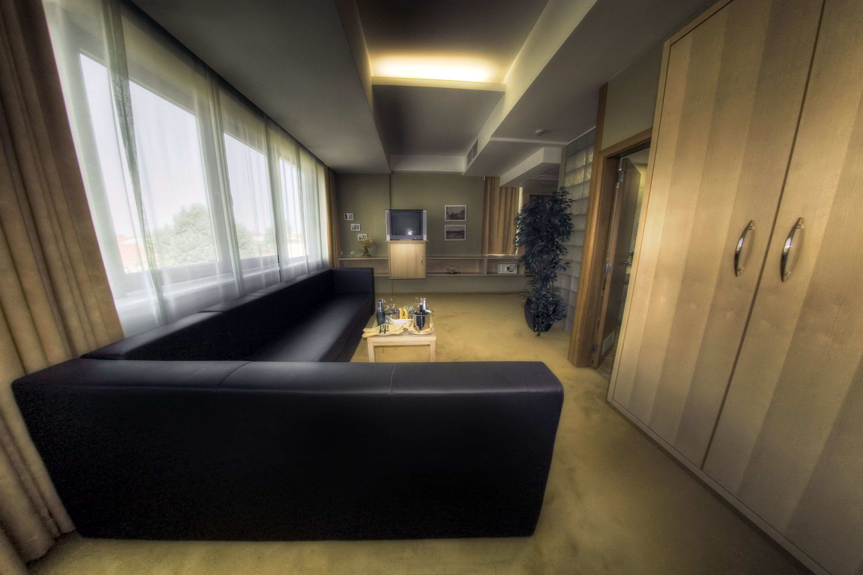 A modern living room with a black sofa, a small coffee table, and a television. There is a large window with curtains, a plant, and a wardrobe.