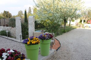 Property grounds - cottage three houses in the heart of the village of Druillat (Druillat)