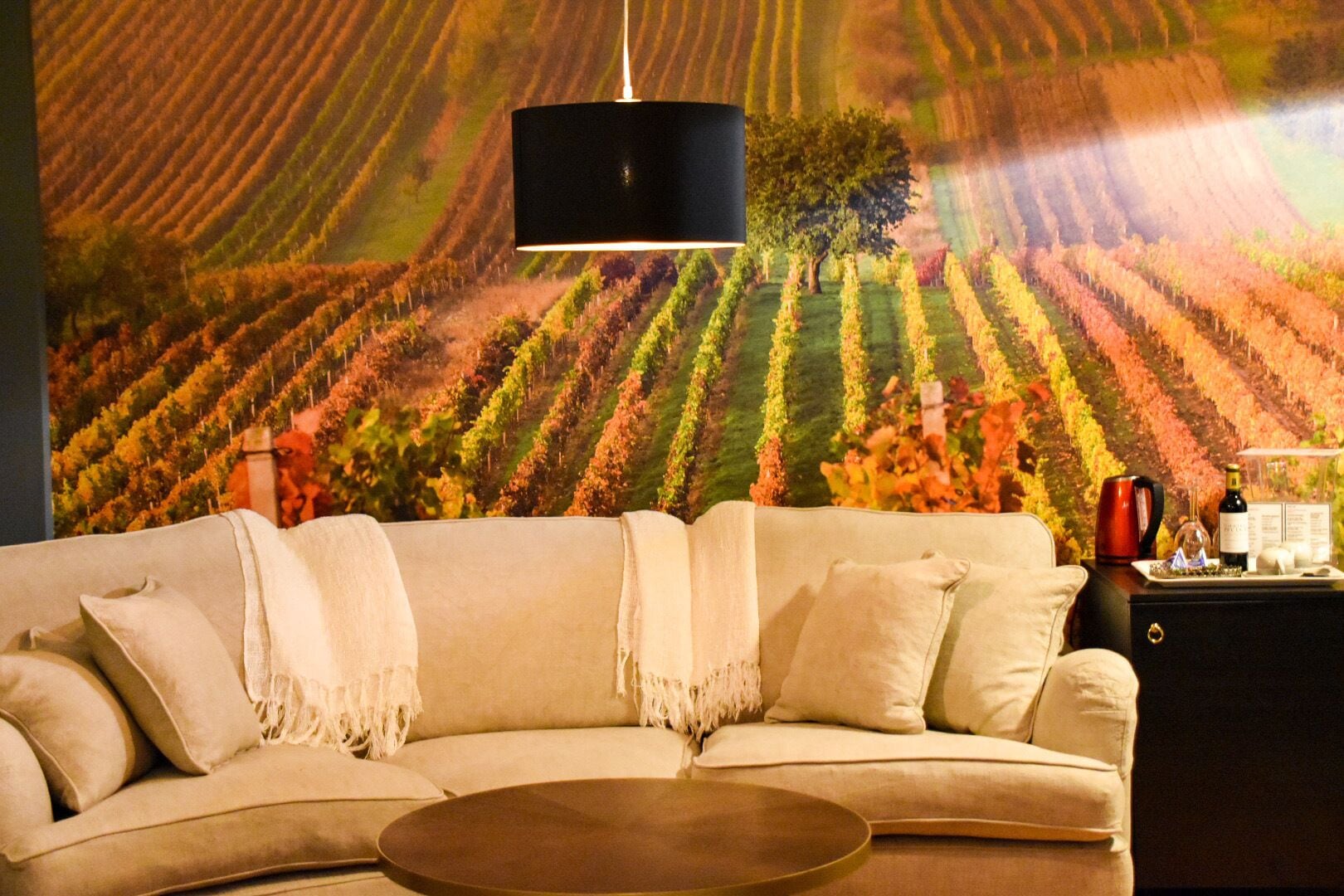 deluxe studio suite | 1 bedroom, minibar, individually decorated, individually furnished