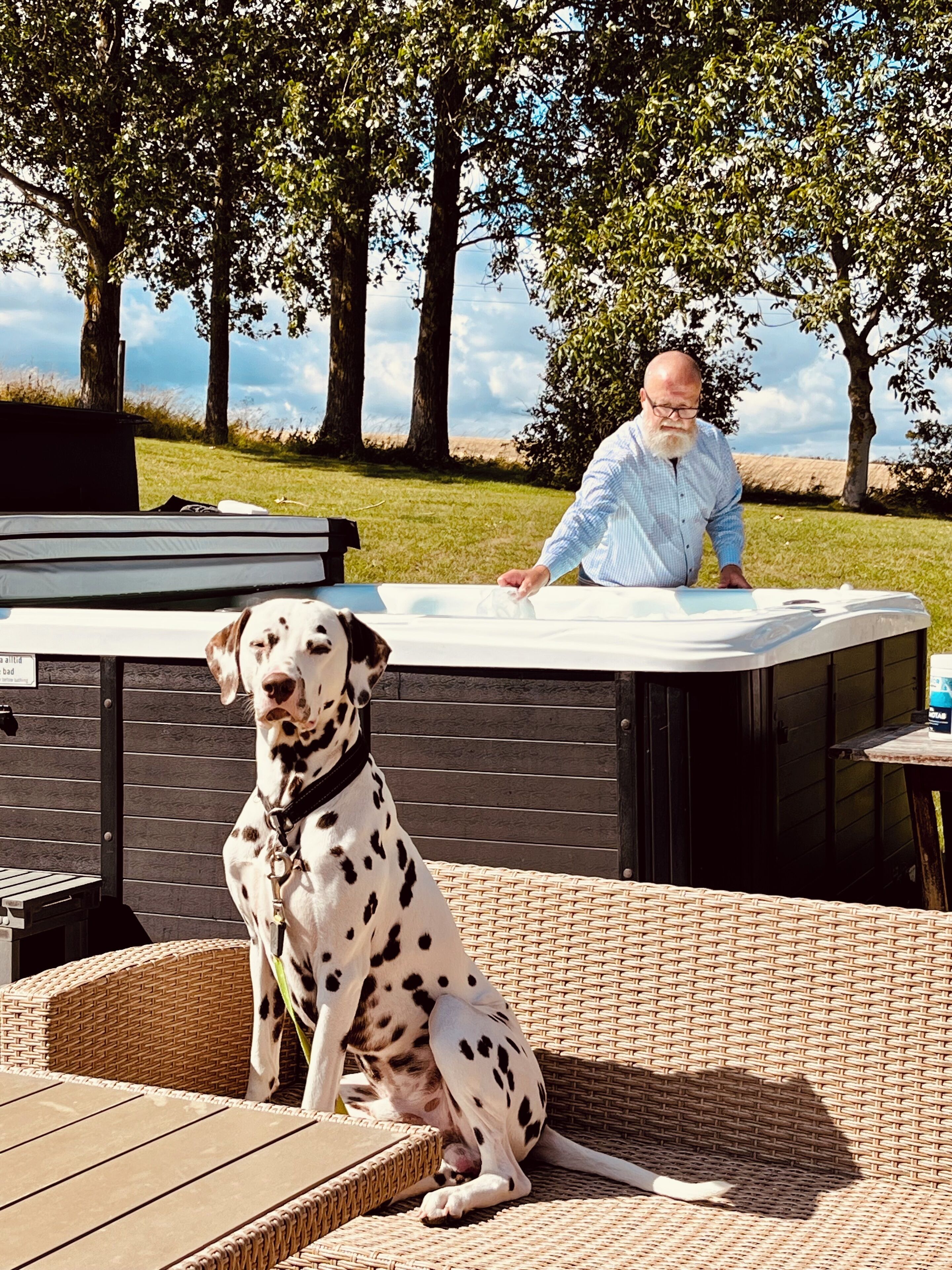 Un jacuzzi con un perro sentado adelante, un hombre cerca y un área verde con árboles al fondo.