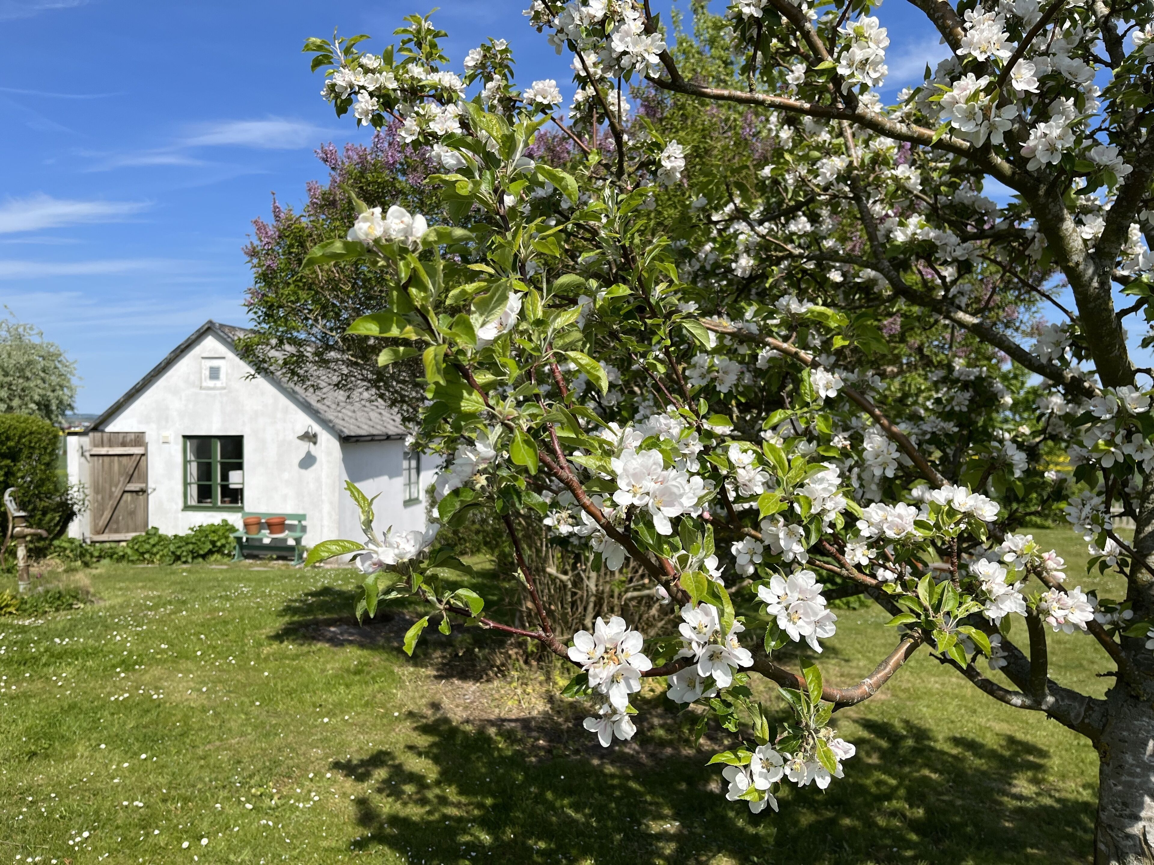 traditional house | 1 bedroom, minibar, individually decorated, individually furnished