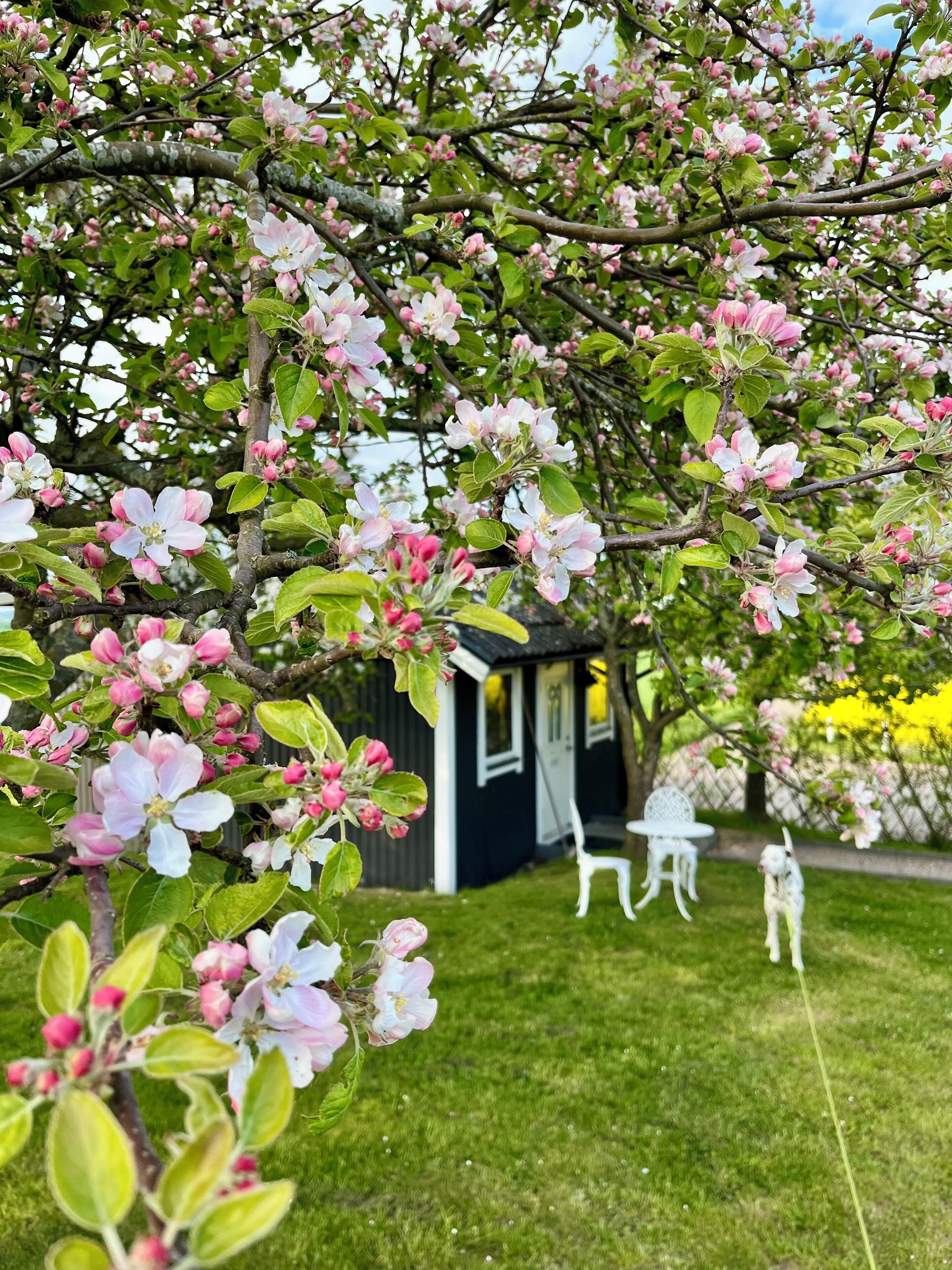 デラックス ダブルルーム 浴槽 | ミニバー、客室ごとに異なる装飾、客室ごとに異なるインテリア、アイロン / アイロン台