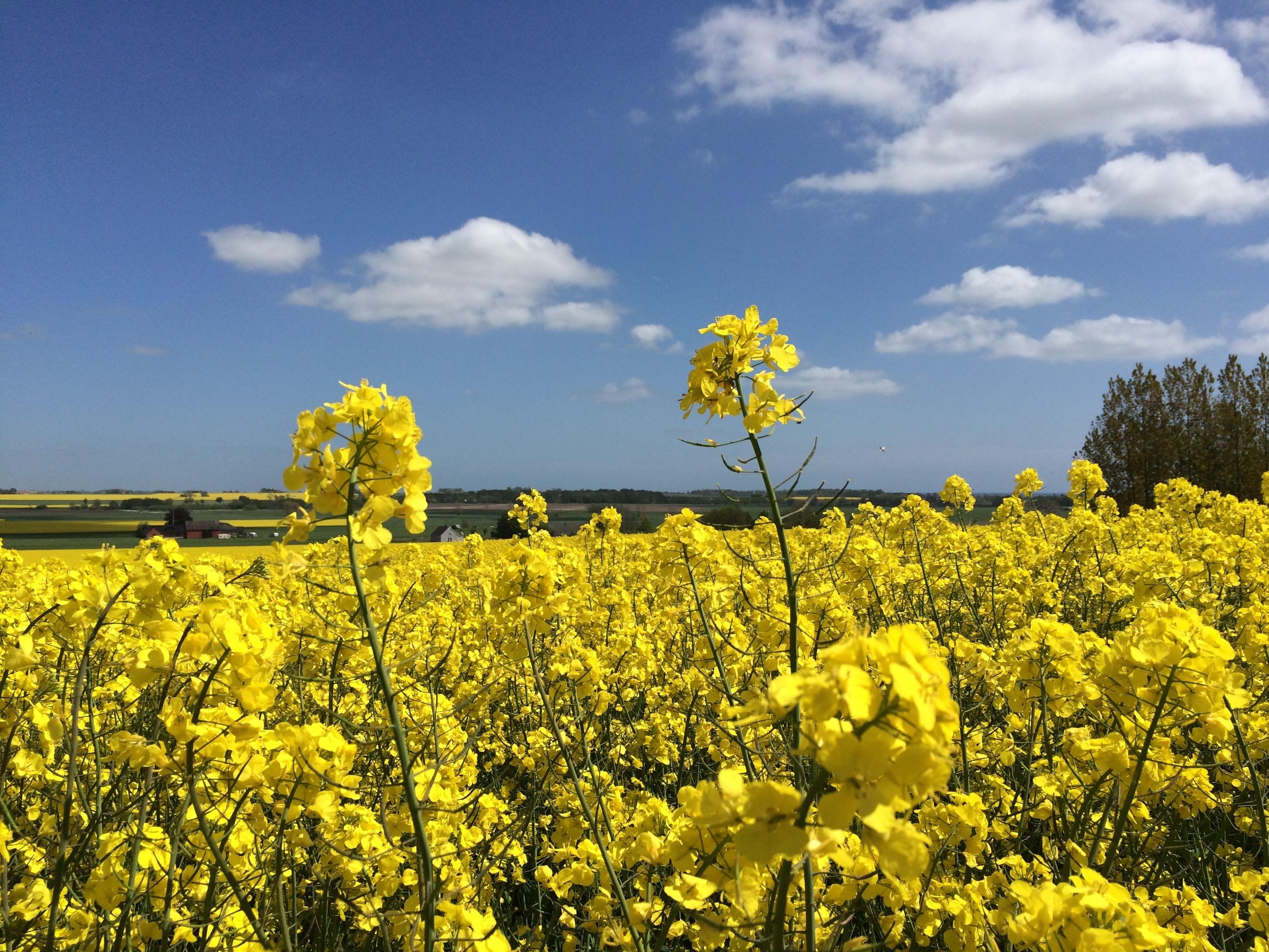land view from property