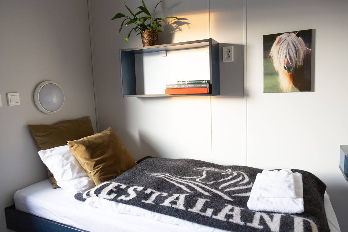 Cama bem arrumada com manta, estante com livros, planta em vaso e quadro na parede.