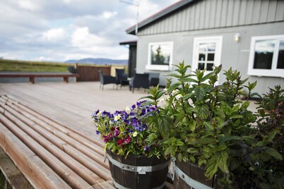 Hestaland Guesthouse Horse Farm Stay