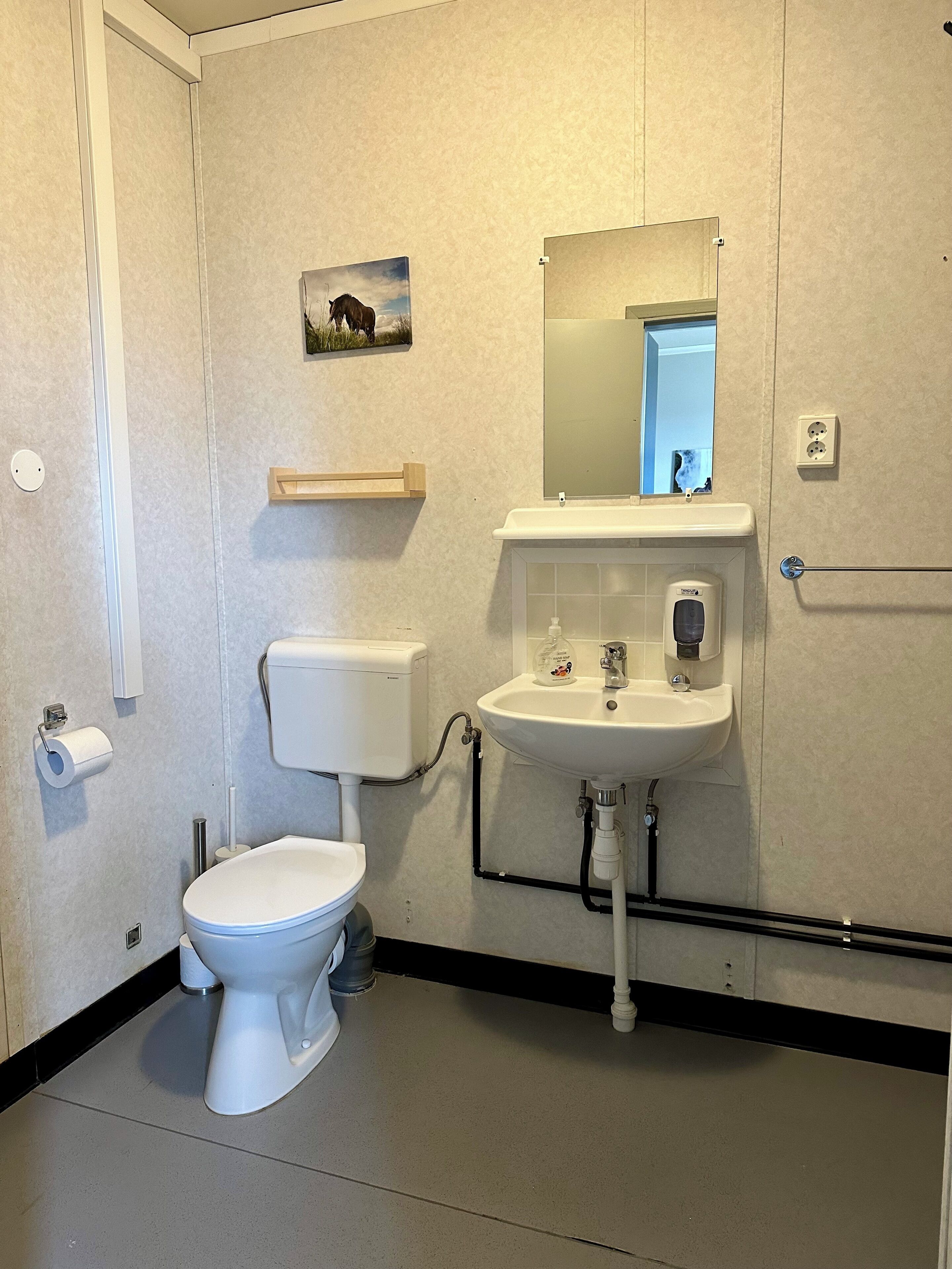 A bathroom with a toilet, sink, and mirror.