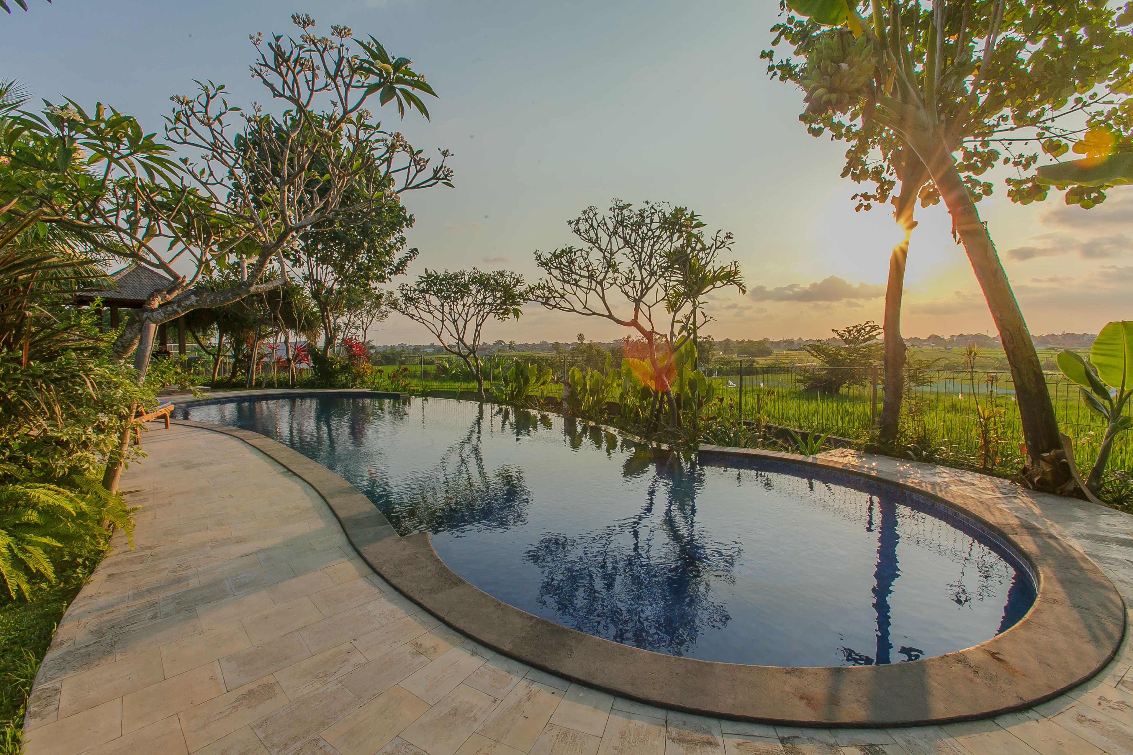 A curved swimming pool with a stone deck, surrounded by lush greenery and trees.