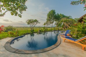 Outdoor pool, open 9:00 AM to 8:00 PM, sun loungers - Villa D'Carik Bali (Penatih)
