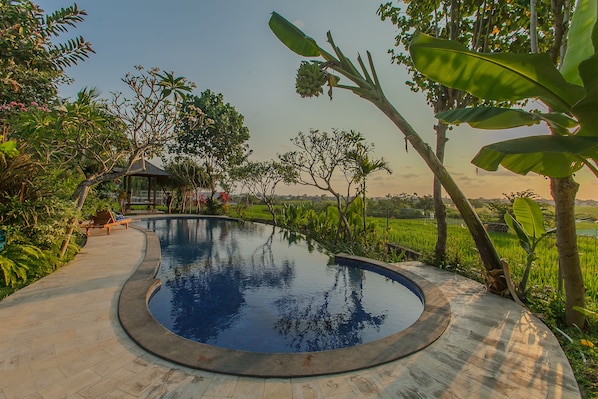 Outdoor pool, open 9:00 AM to 8:00 PM, sun loungers