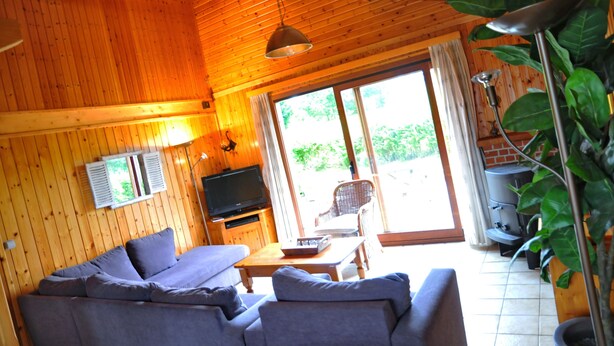 Een houten blokhut van binnen met een bank, televisie en een open haard.