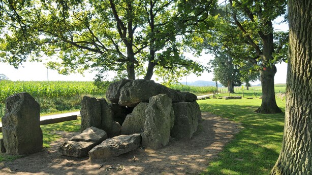 Eine Steinstruktur in einem Park mit Bäumen und einem grasbewachsen Feld im Hintergrund.
