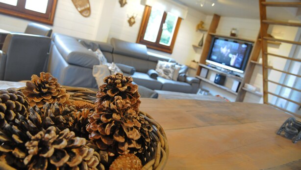 A living room with a sofa, television, and a wooden table with pine cones.