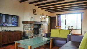 A living room with a stone fireplace, a television, and a couch. - Résidence Thier Antoine (Somme-Leuze)