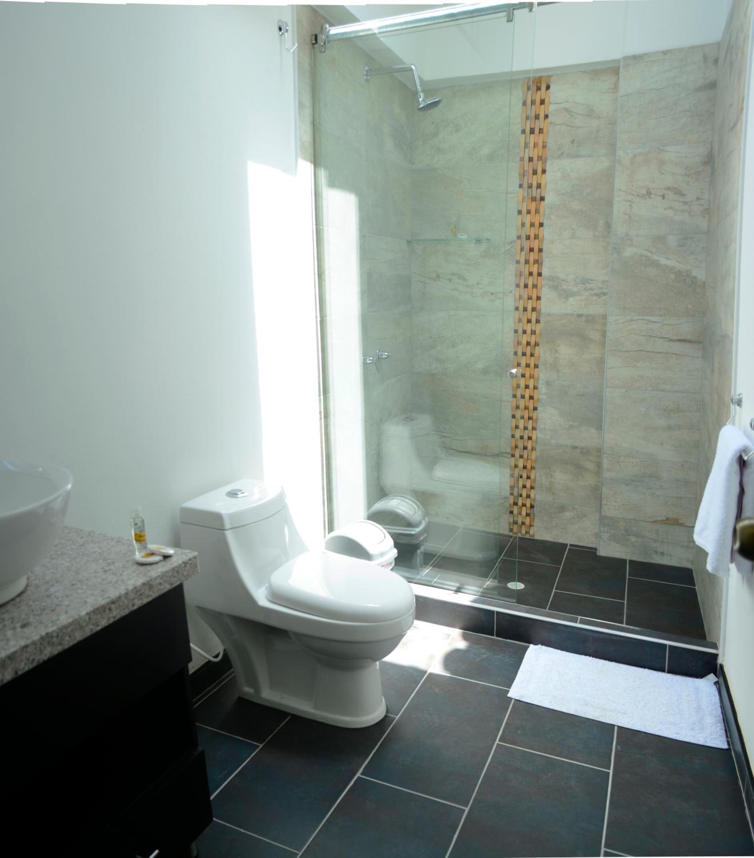 free toiletries, hair dryer, towels