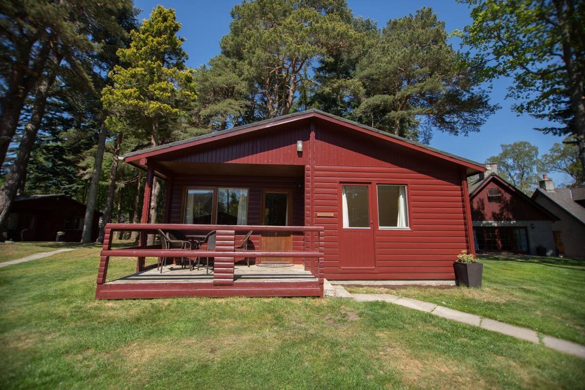 A red cabin with a porch, a small deck, and a grassy yard surrounded by trees.