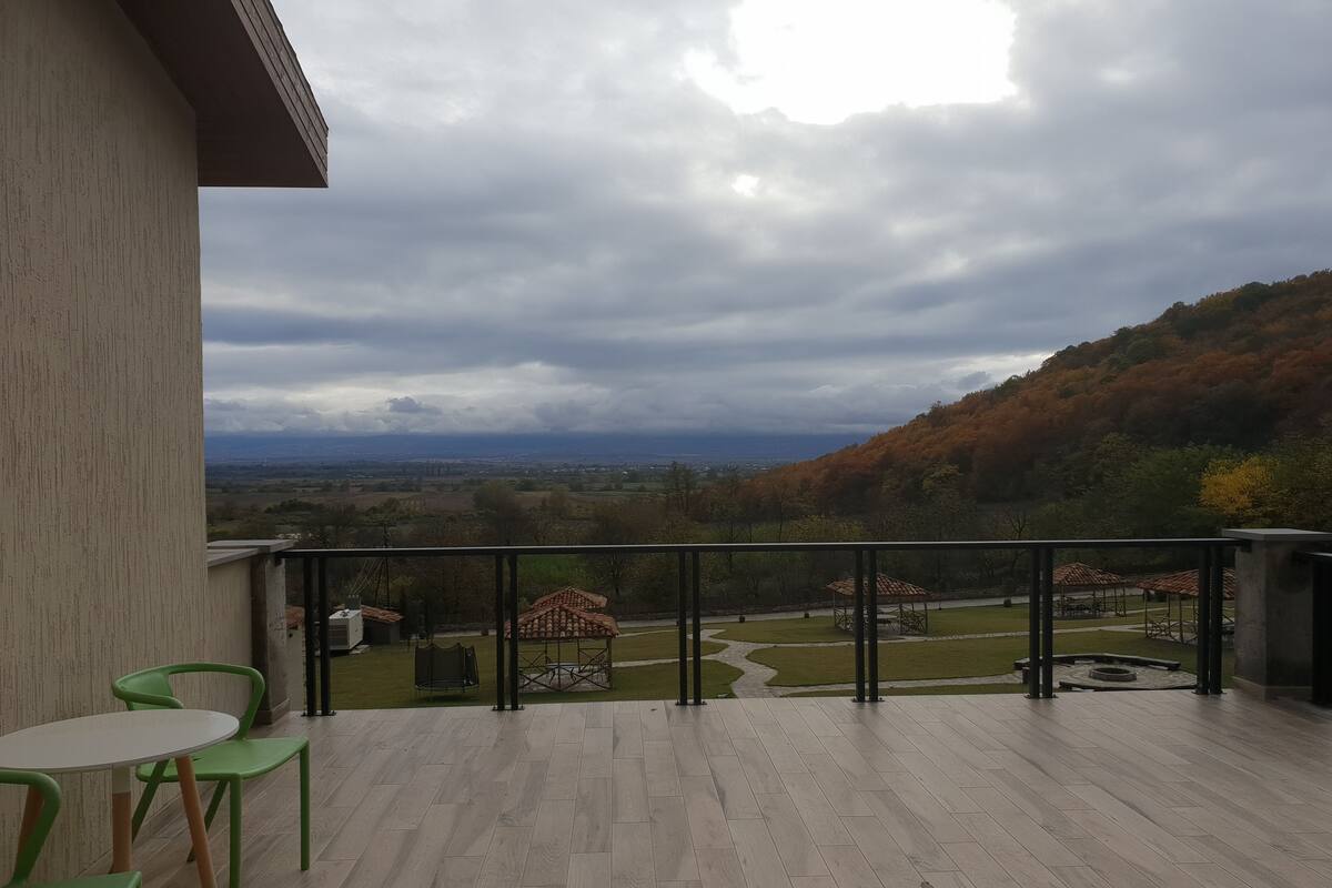 A balcony with a view of a park and distant landscape.