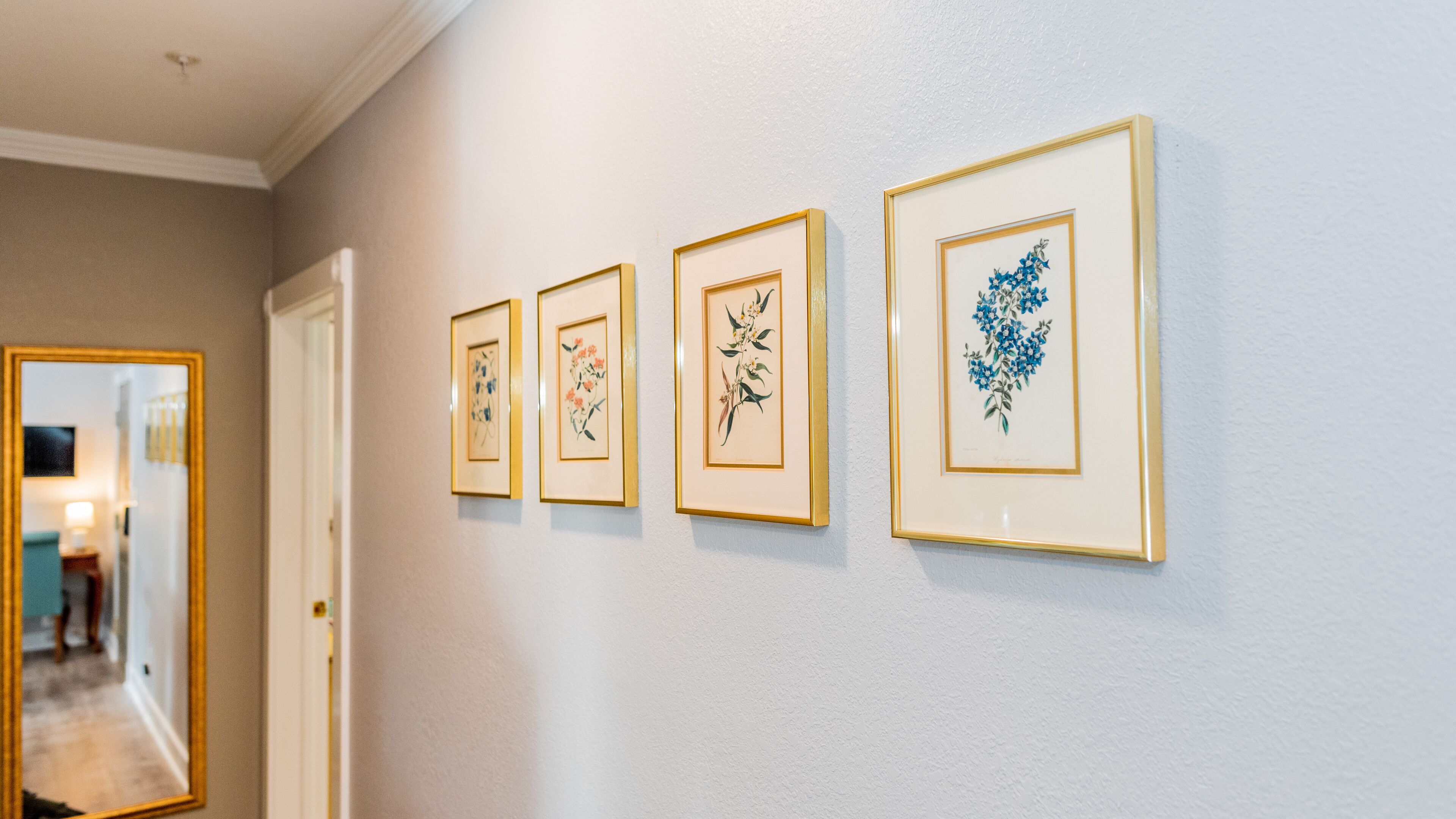 A hallway with four framed botanical prints on the wall.