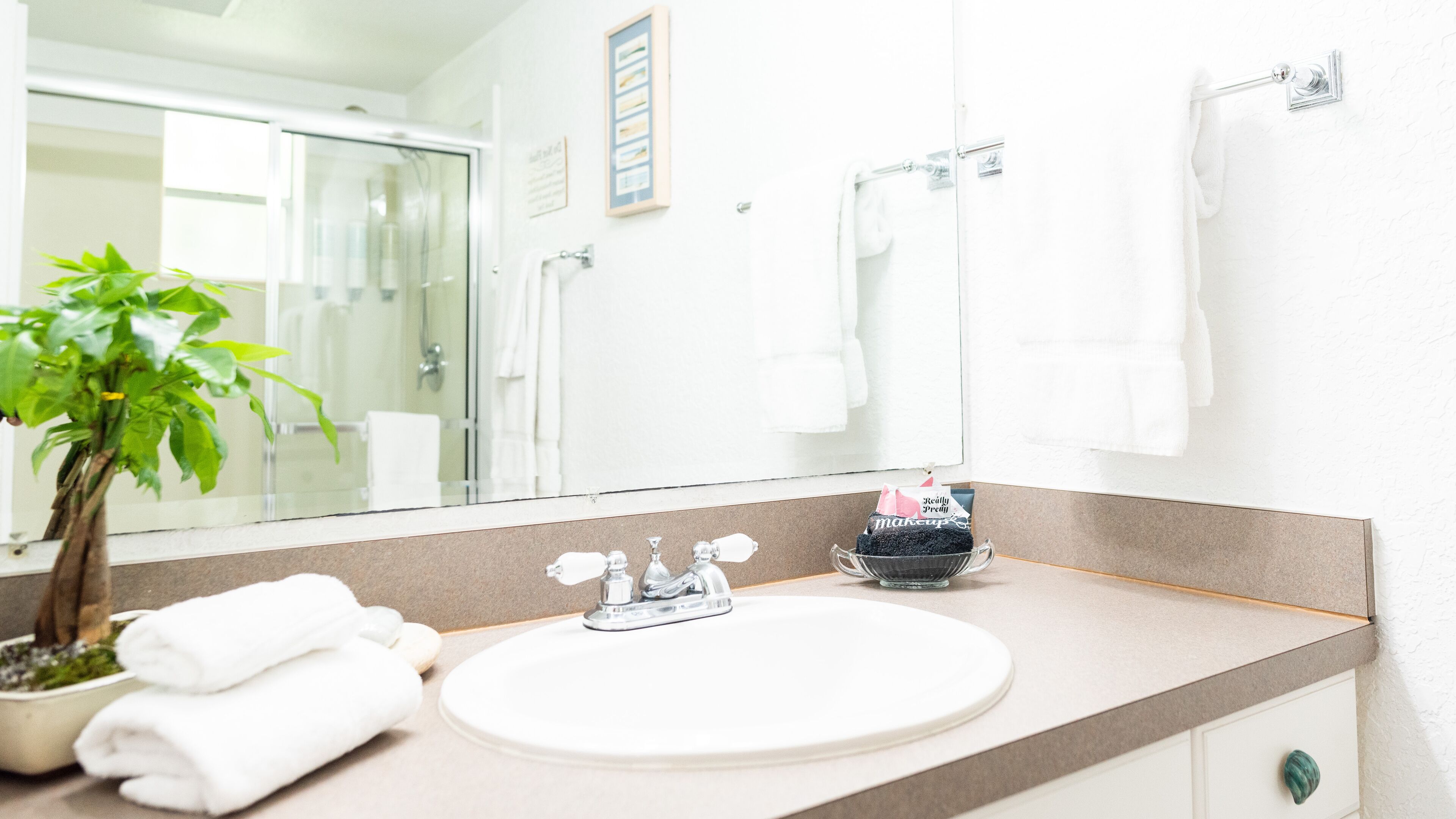 A bathroom with a white sink, two faucets, a mirror, and a potted plant.