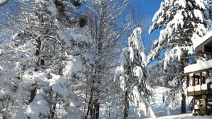 Paisatge nevado amb arbres i una construcció de fusta.