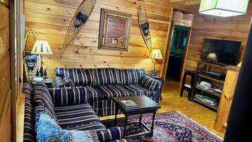 TV connectée, cheminée, lecteur de DVD, livres