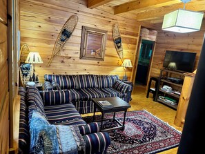 Smart TV, chimenea, reproductor de DVD y libros 