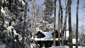 A cabin surrounded by snow-covered trees.